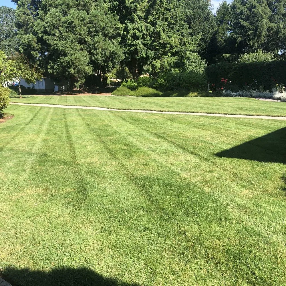 Trusted lawn mowing service experts serving Portland, OR - Mendoza Lawn Care