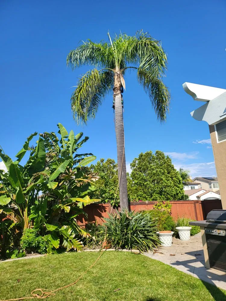 Trusted landscape installation in Ramona, CA by Mendoza lawn care service