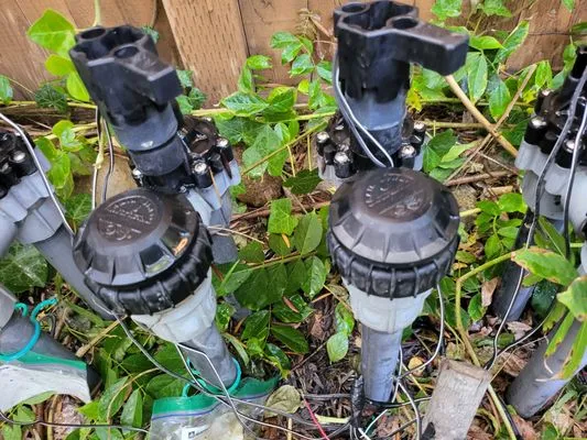 Mendoza lawn care service Logo