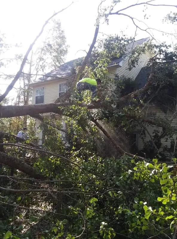 Local landscape installation experts serving Leland, NC - Mendoza Lawn Care Services