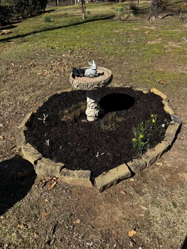 Top-rated yard cleanup service in Sheridan, AR by Mendoza Lawn Care