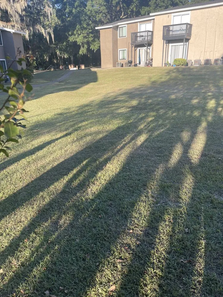 Local outdoor landscaping experts serving Quincy, FL - Mendoza Lawns Care