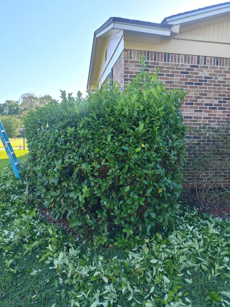 Reliable outdoor landscaping in Quincy, FL by Mendoza Lawns Care