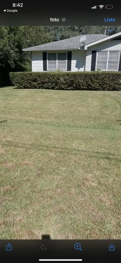 Reliable landscape installation in Quincy, FL - Mendoza Lawns Care