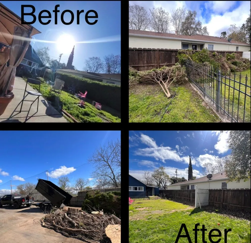 Professional landscape design for year-round maintenance in Sebring, FL by Mendoza Maintenance & Handyman