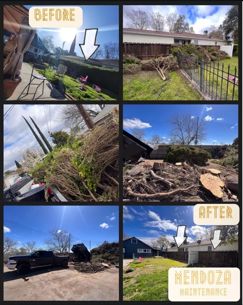 Reliable garden landscaping in Sebring, FL by Mendoza Maintenance & Handyman