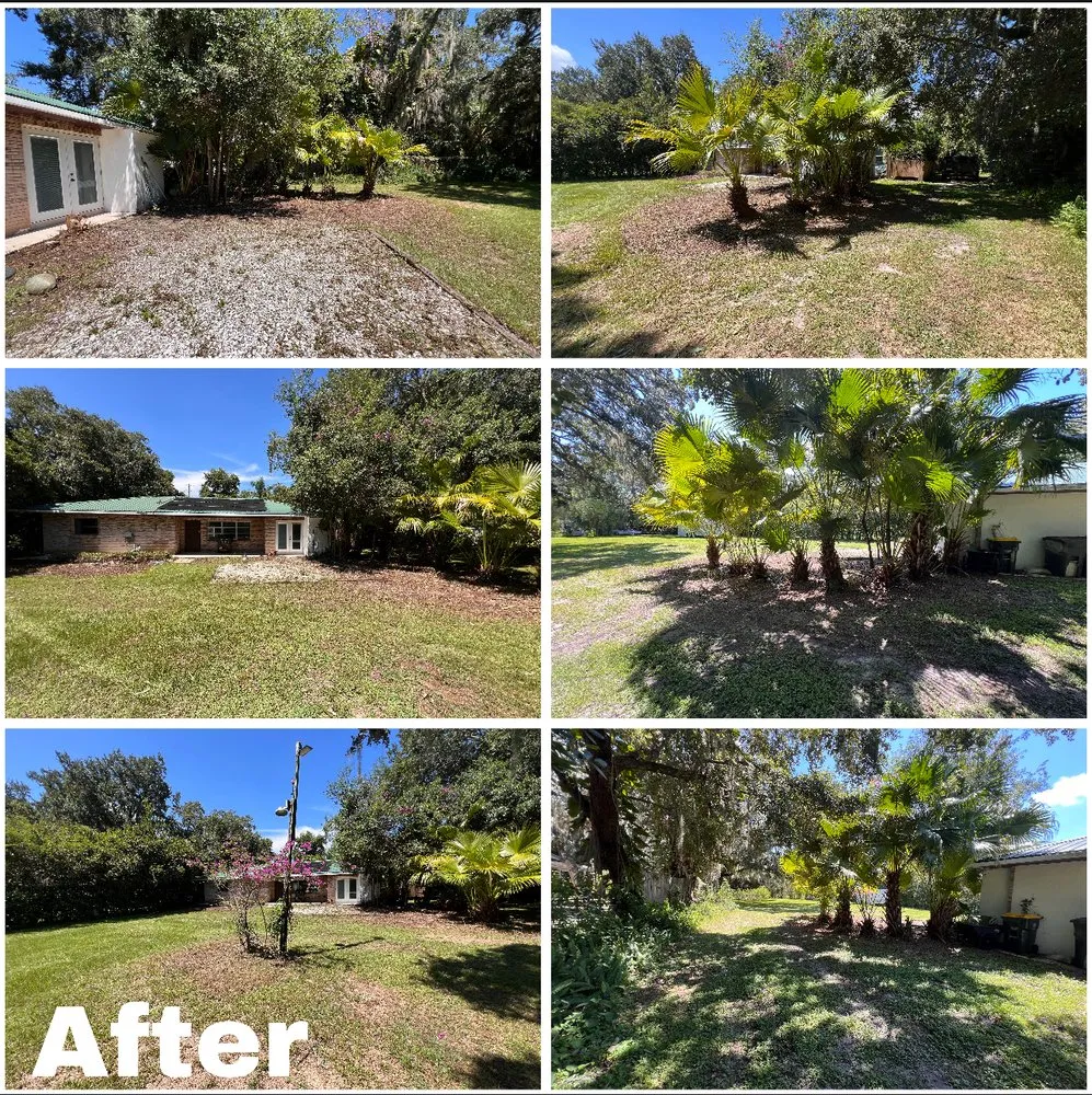 Top-rated garden landscaping experts serving Sebring, FL - Mendoza Maintenance & Handyman