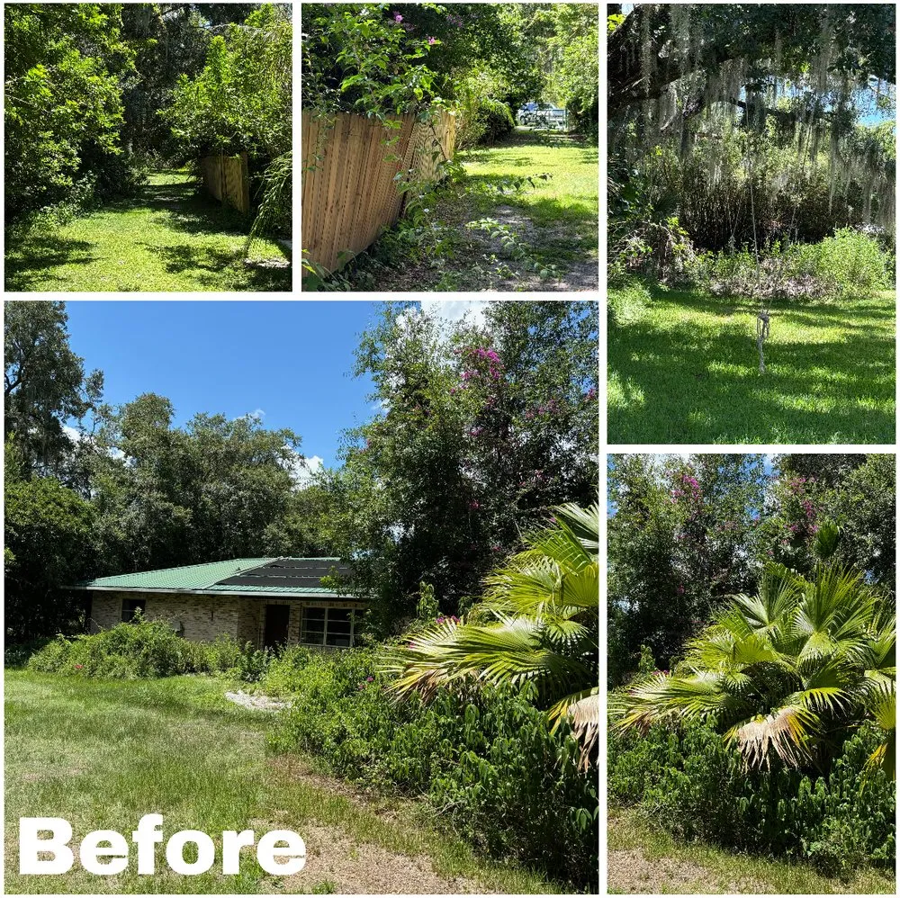 Affordable landscaping services for homes in Sebring, FL by Mendoza Maintenance & Handyman