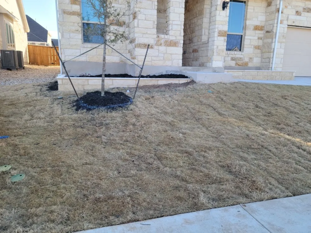 Affordable outdoor landscaping in Hutto, TX by Mendoza Masonry and More