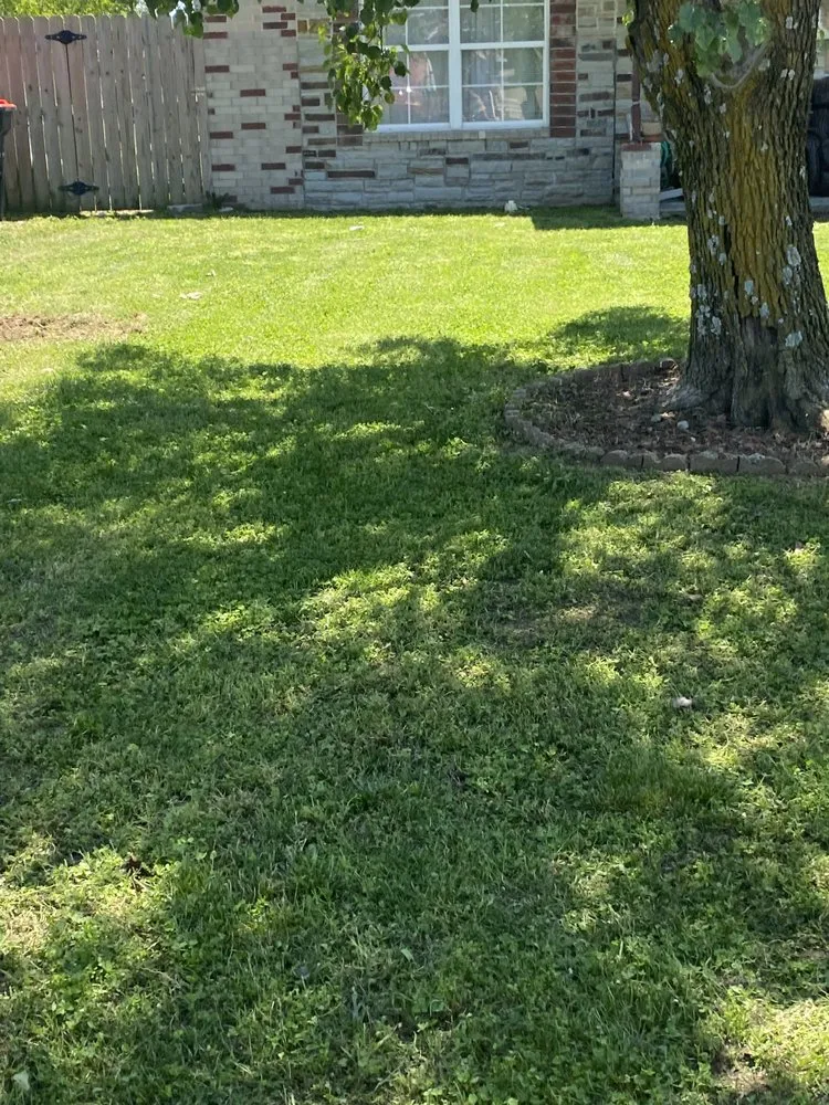 Professional lawn care service in Fayetteville, AR by Mendoza Mower and More