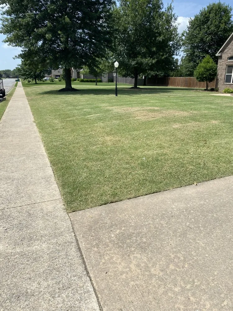 Expert lawn care service in Fayetteville, AR - Mendoza Mower and More