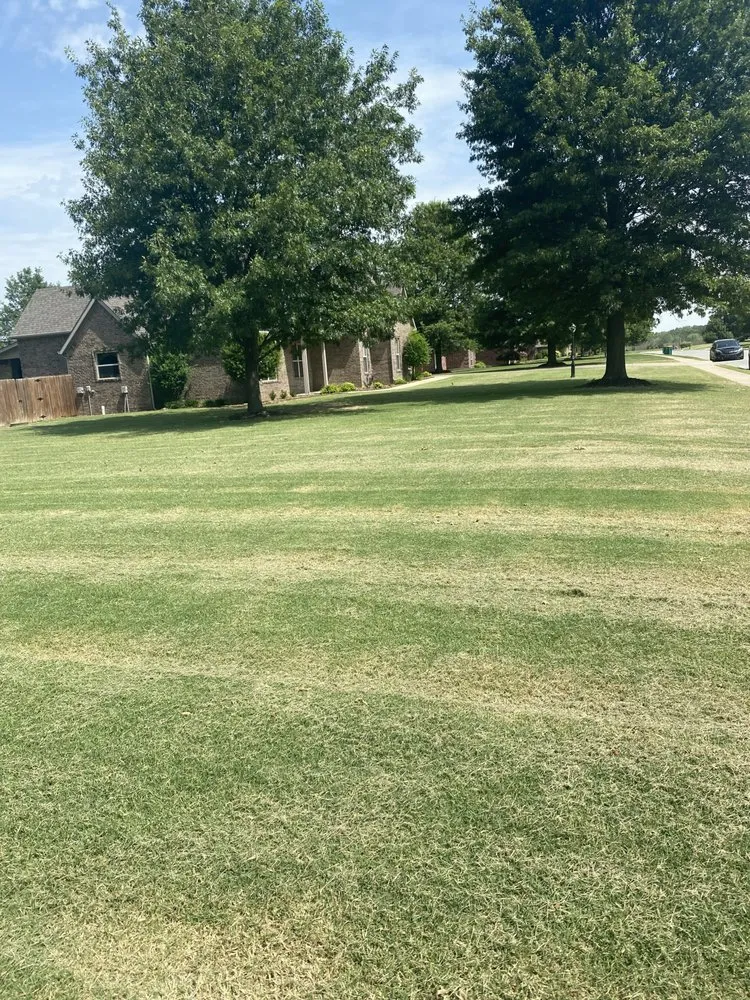 Trusted yard cleanup service for residential properties in Fayetteville, AR by Mendoza Mower and More