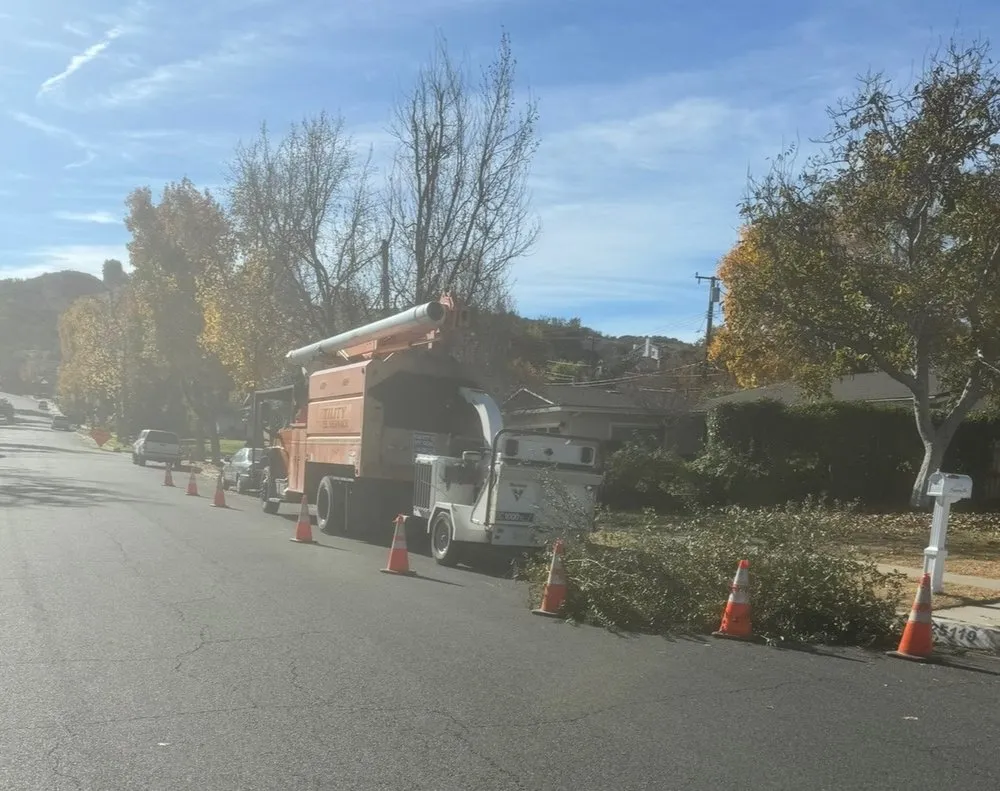 Custom landscaping services in Santa Clarita, CA by Mendoza Pro Landscape SCV