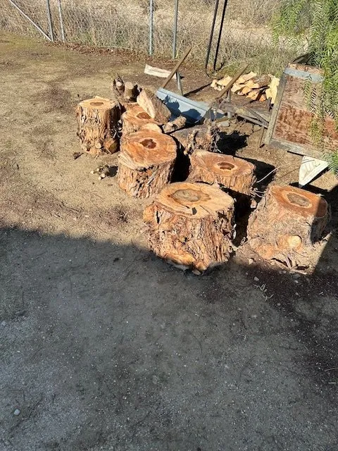 Local lawn care service near you in Santa Clarita, CA by Mendoza Pro Landscape SCV