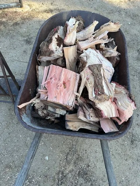 Expert yard cleanup service in Santa Clarita, CA by Mendoza Pro Landscape SCV