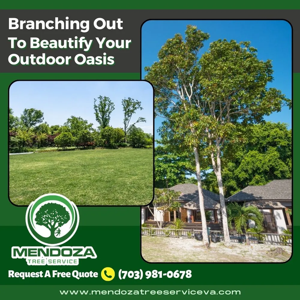 Local residential landscaping in Bailey's Crossroads, VA - Mendoza Tree Service