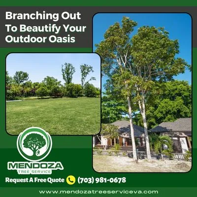 Mendoza Tree Service Logo