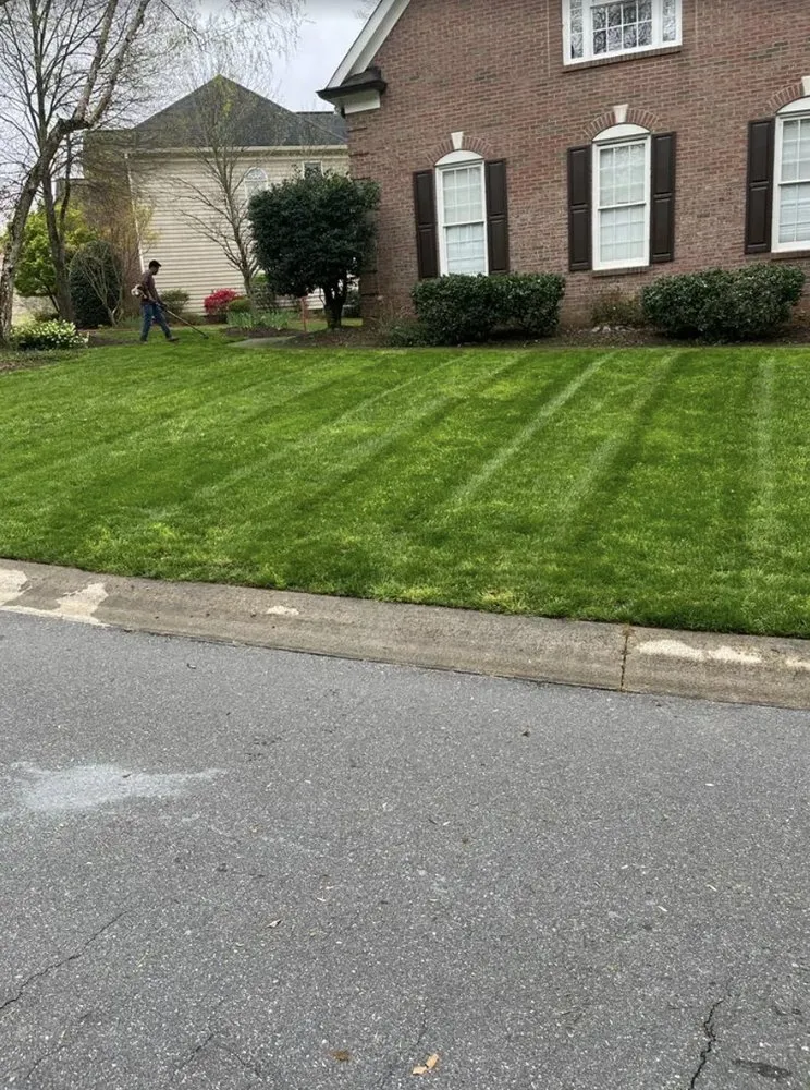 Local yard maintenance near you across Charlotte, NC - Mendoza Trimming and Landscaping