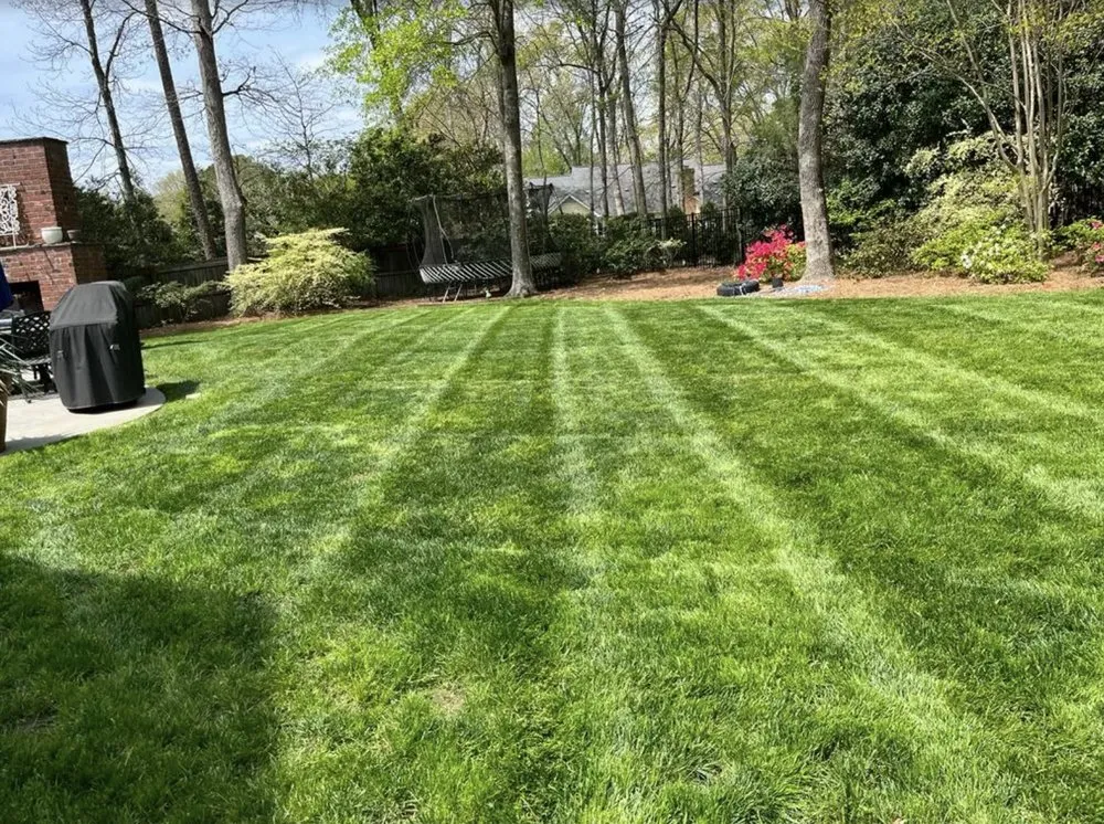 Top-rated yard cleanup service for homes in Charlotte, NC by Mendoza Trimming and Landscaping