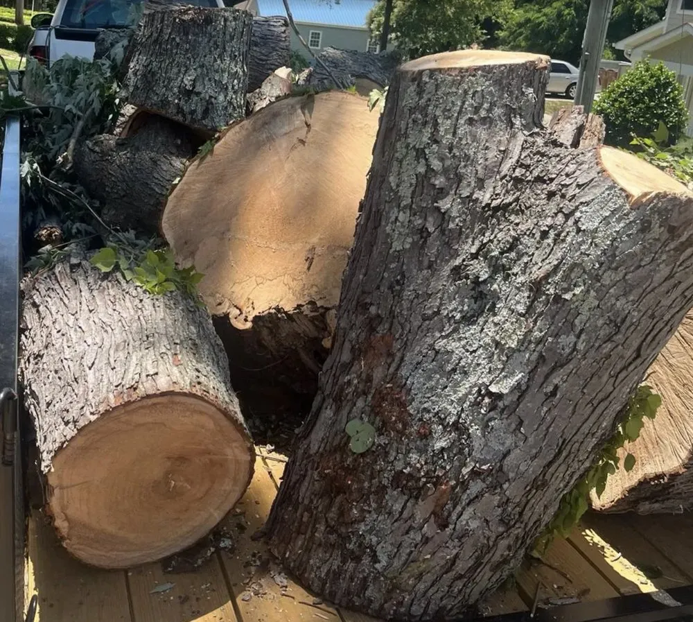 Trusted yard maintenance in Charlotte, NC - Mendoza Trimming and Landscaping