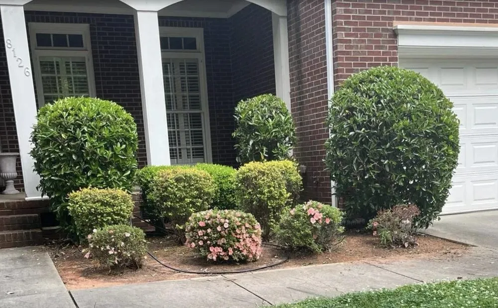 Local residential landscaping in Charlotte, NC - Mendoza Trimming and Landscaping