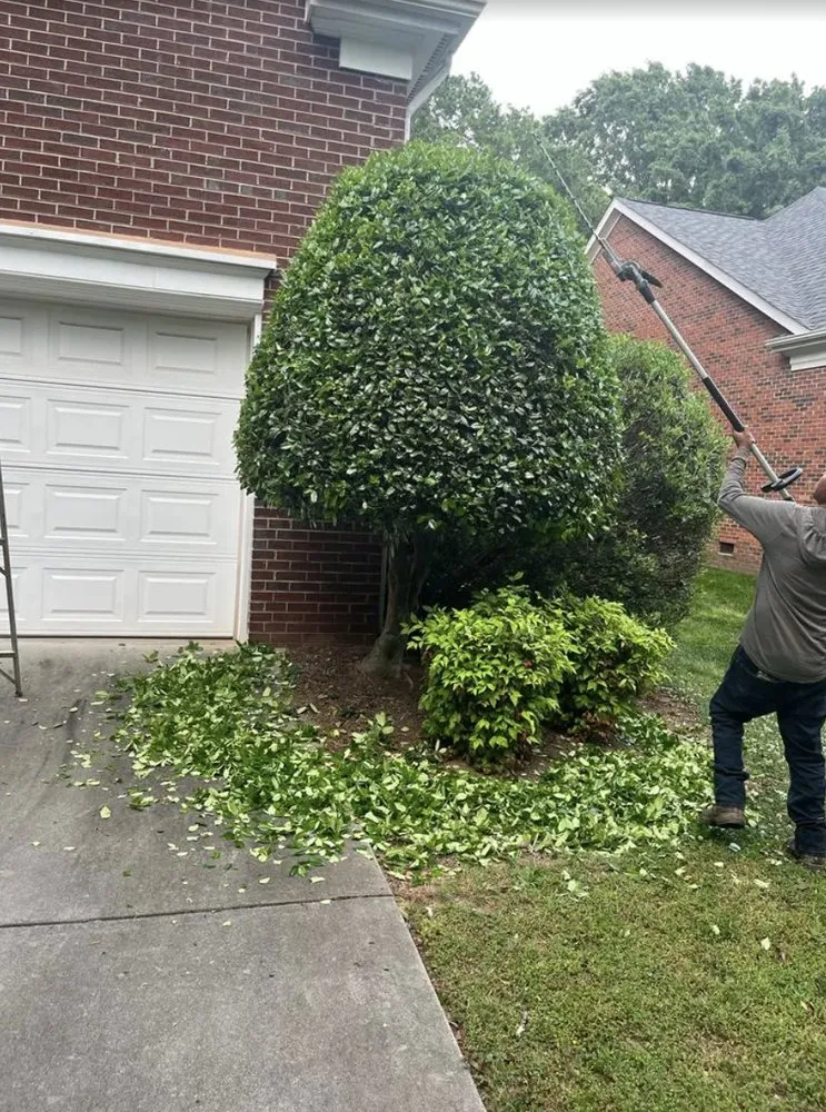 Professional yard maintenance in Charlotte, NC by Mendoza Trimming and Landscaping
