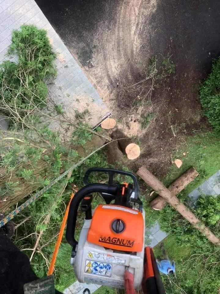 Professional landscape design in Waterloo, IA by Mendoza