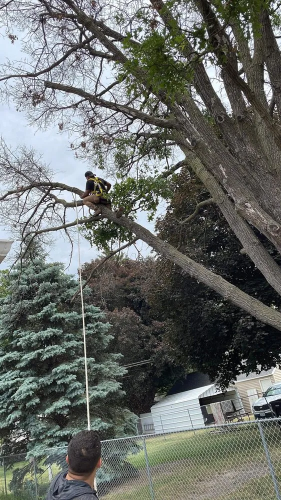 Local lawn care service for outdoor upgrades across Waterloo, IA - Mendoza