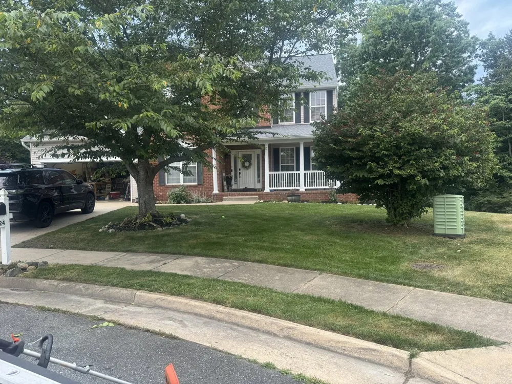 Top-rated lawn care service in Fredericksburg, VA by Mendoza’s Construction And Landscaping