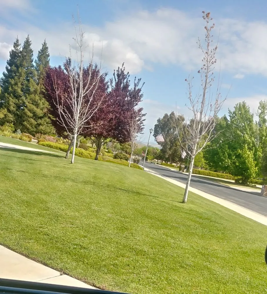 Custom lawn mowing service for homes in Bakersfield, CA by Mendoza's Gardening Service