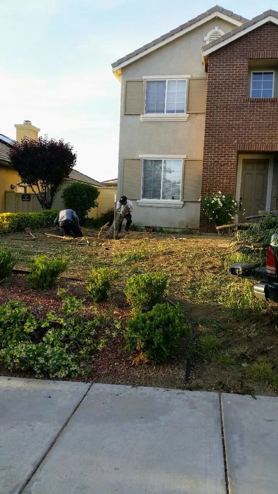 Expert landscape design in Lake Elsinore, CA - Mendoza's Landscape