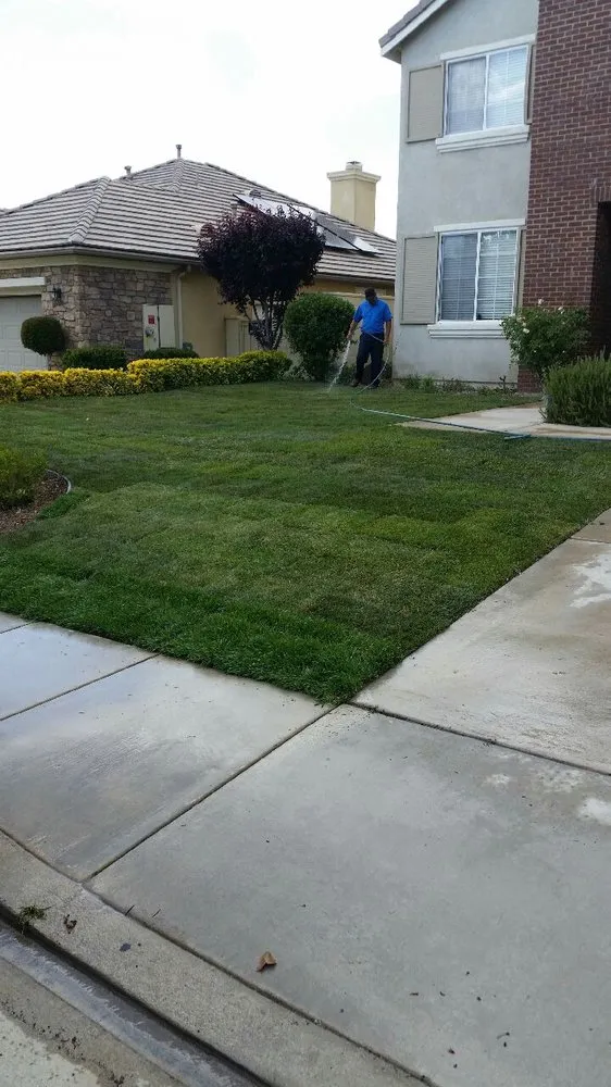 Trusted landscaping services experts serving Lake Elsinore, CA - Mendoza's Landscape