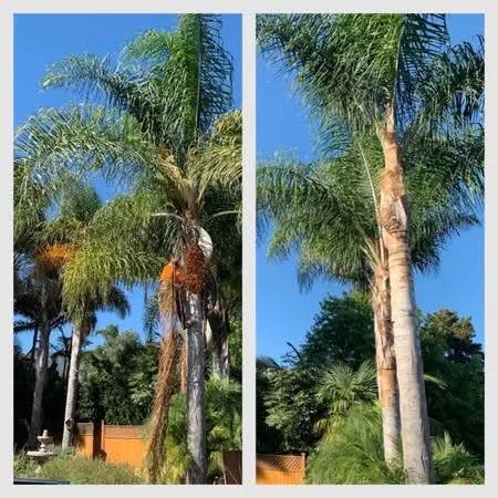 Local garden landscaping experts serving Ventura, CA - Mendozas Landscapes