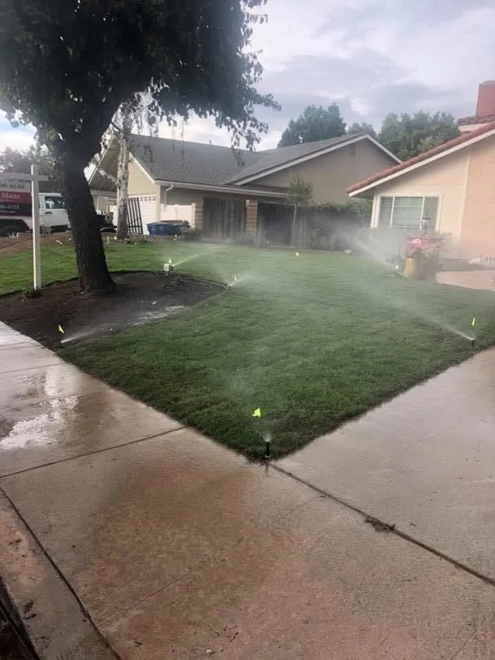 Custom yard cleanup service in Ventura, CA - Mendozas Landscapes