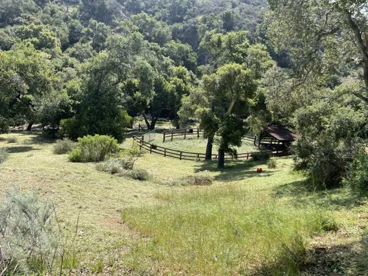 Mendozas Landscapes Logo