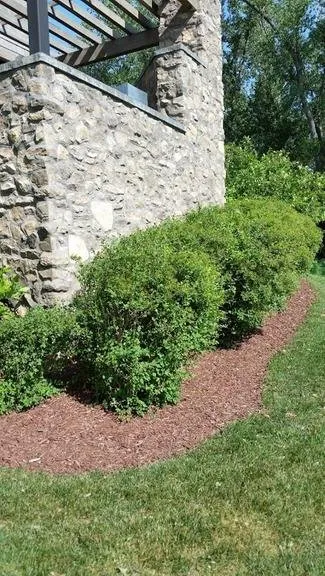 Expert landscaping services for beautiful yards across Sioux City, IA - Mendoza's Landscaping and Tree Trimming