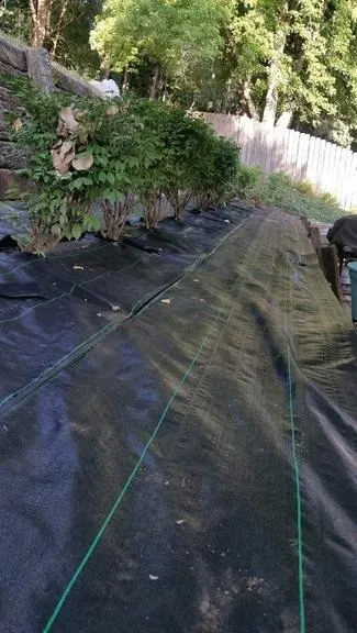 Professional lawn care service for residential properties across Sioux City, IA - Mendoza's Landscaping and Tree Trimming