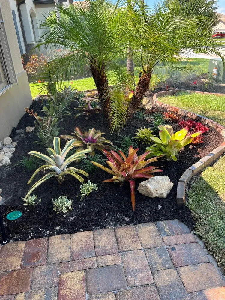 Custom yard cleanup service in Bonita Springs, FL - Mendoza's Landscaping Design