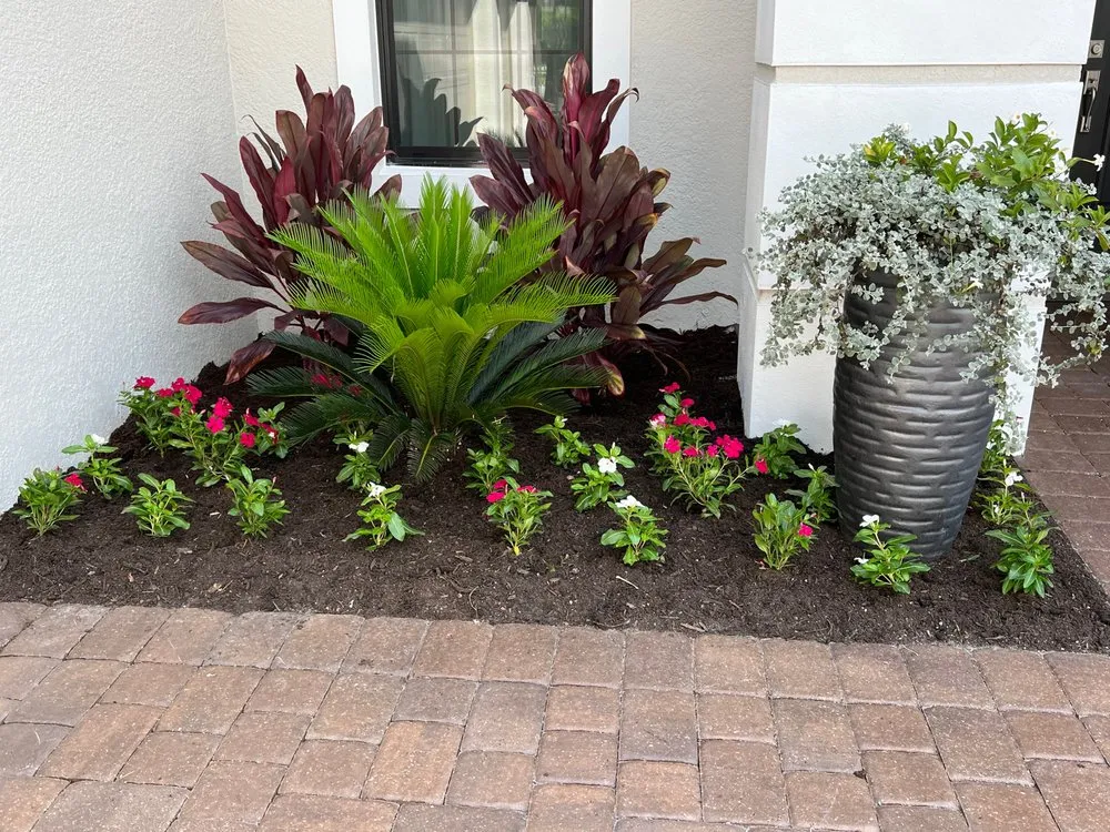 Top-rated yard cleanup service for beautiful yards across Bonita Springs, FL - Mendoza's Landscaping Design