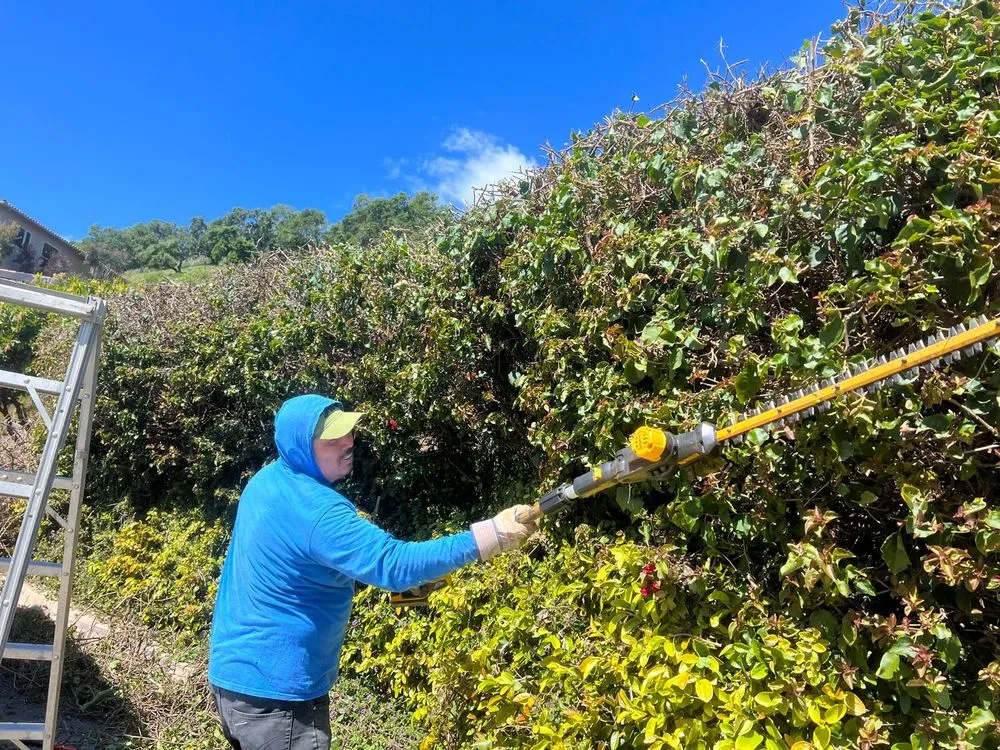 Trusted yard maintenance for homes in Oceano, CA by Mendoza’s Landscaping
