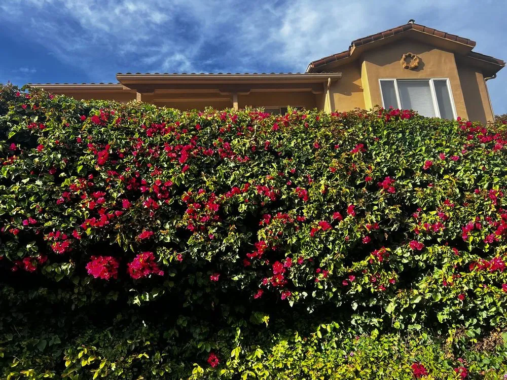 Reliable residential landscaping in Oceano, CA by Mendoza’s Landscaping