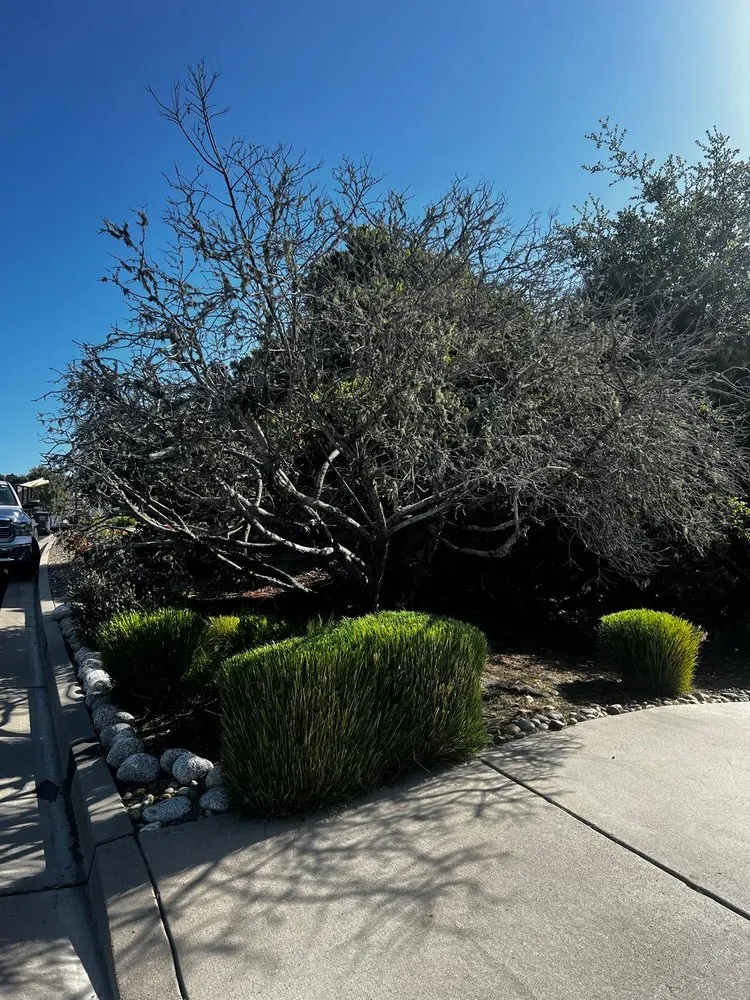 Expert outdoor landscaping experts serving Oceano, CA - Mendoza’s Landscaping