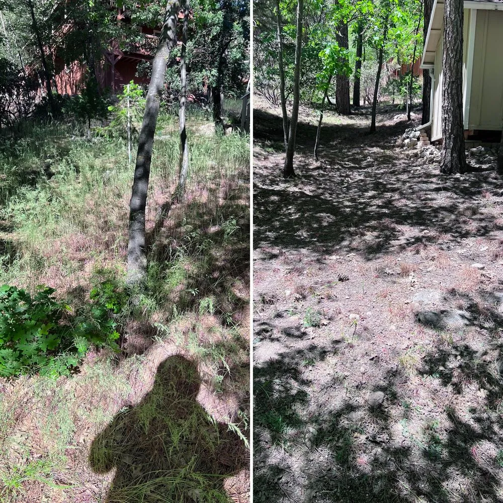 Custom landscape installation experts serving Redlands, CA - Mendoza’s landscaping