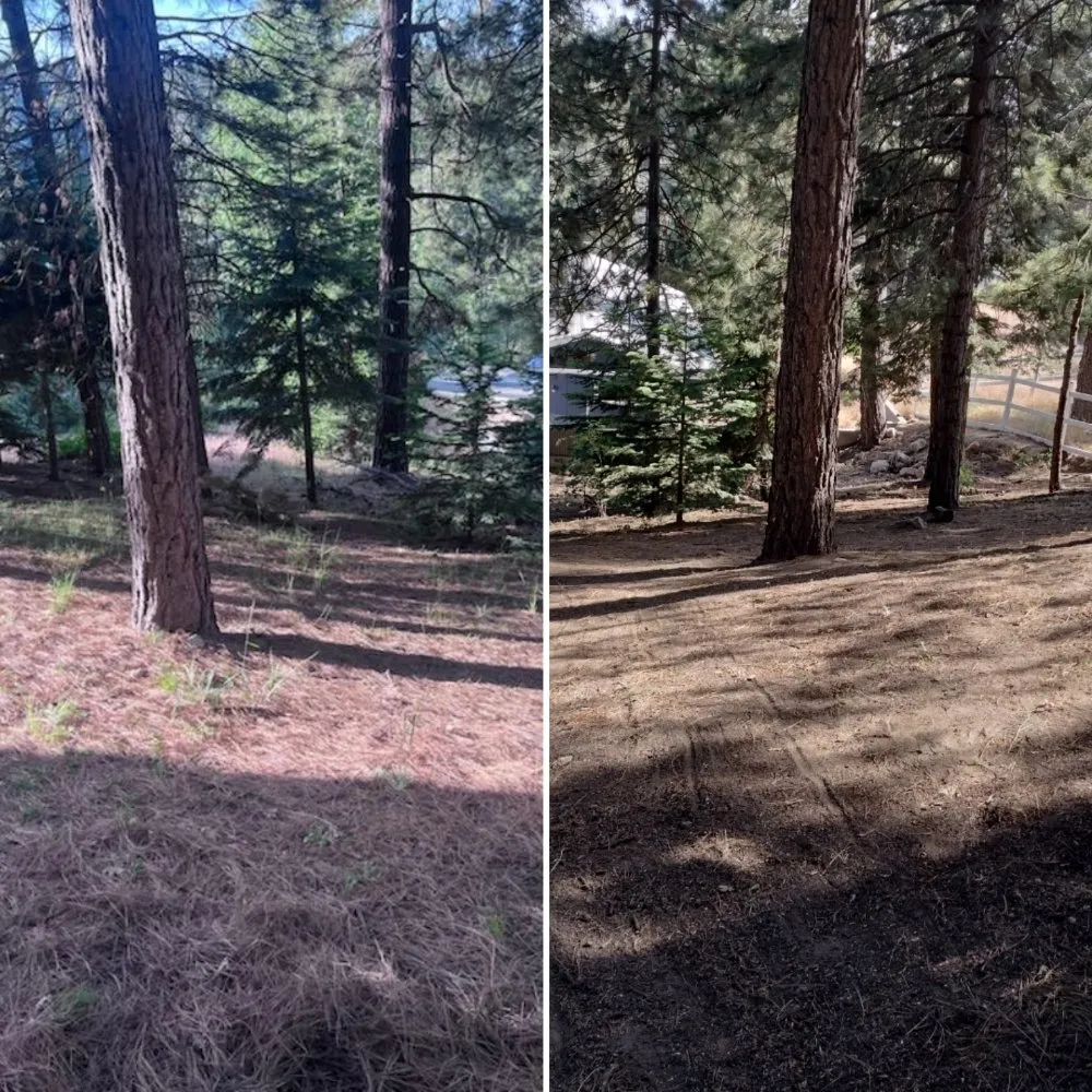 Custom residential landscaping in Redlands, CA by Mendoza’s landscaping