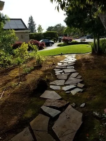Local yard maintenance in San Jose, CA - Mendoza's Landscaping