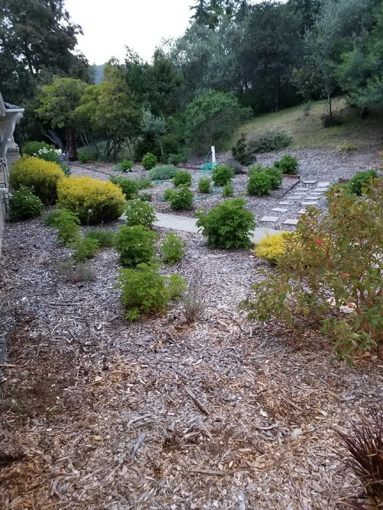 Custom landscape installation near you in San Jose, CA by Mendoza's Landscaping