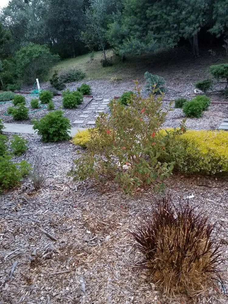 Expert landscaping services experts serving San Jose, CA - Mendoza's Landscaping