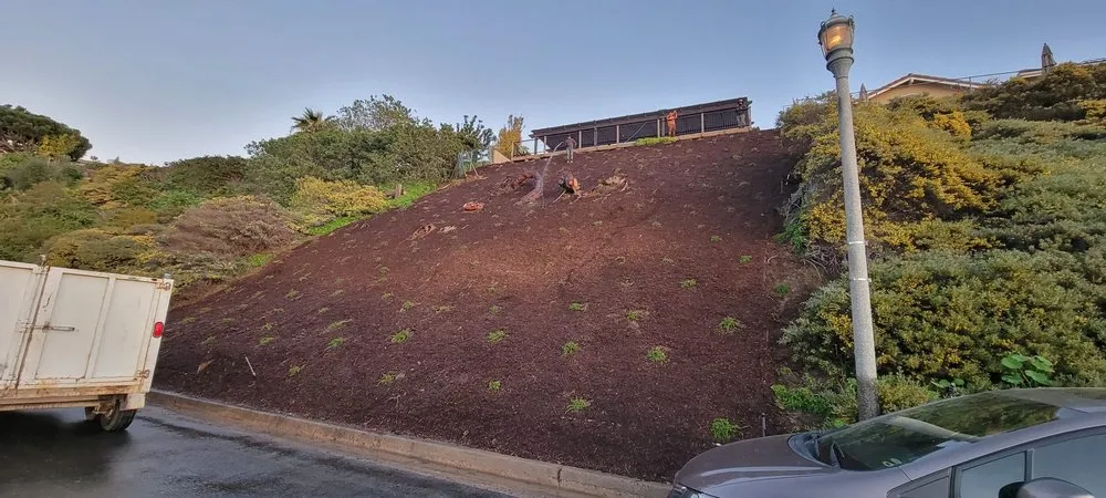 Expert landscaping services for year-round maintenance in San Juan Capistrano, CA by Mendoza's Landscaping