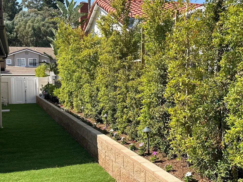 Professional lawn mowing service experts serving San Juan Capistrano, CA - Mendoza's Landscaping