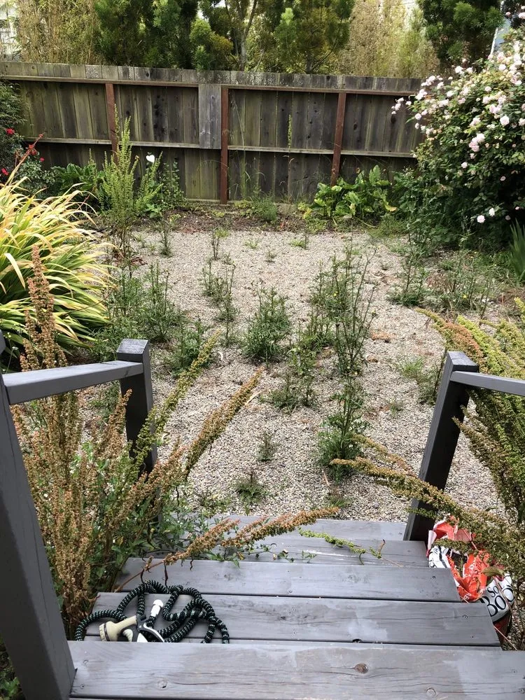 Professional landscape installation in San Francisco, CA by Mendoza's Landscaping Services